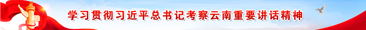ѧϰ᳹ϰƽǿҪ